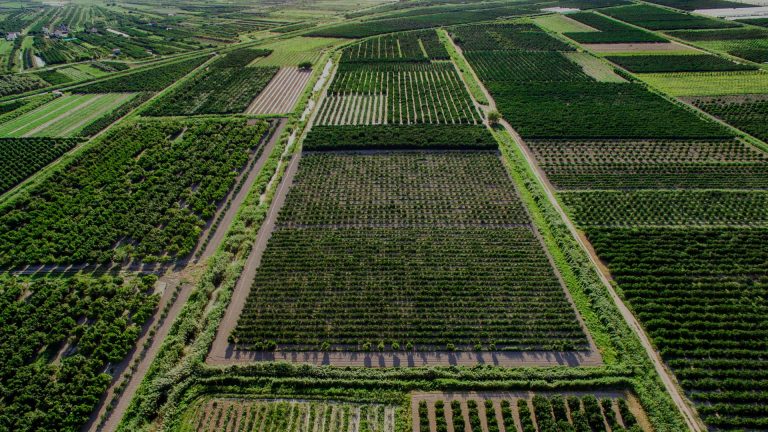 Poljoprivreda za bioraznolikost