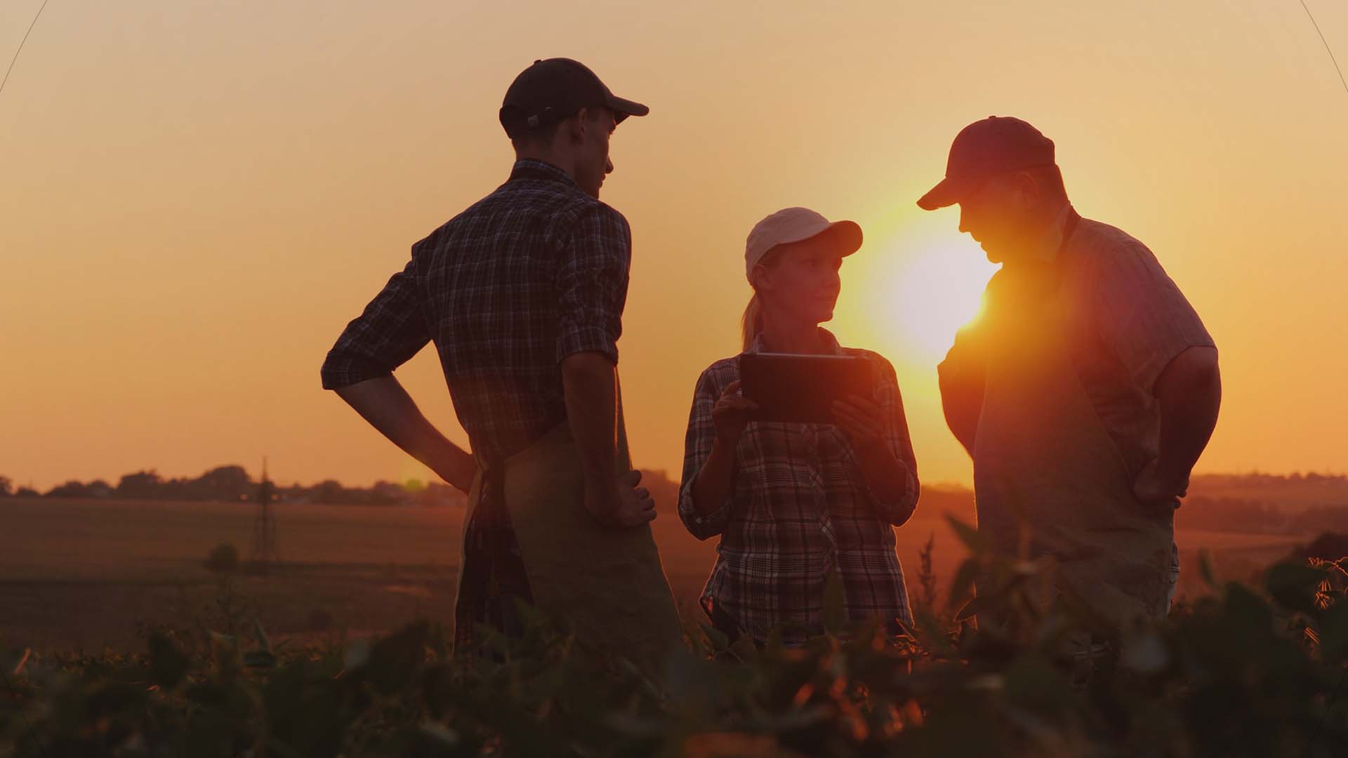 39Što možemo učiniti zajedno?
